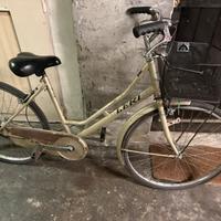 Bici fonna