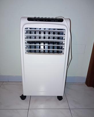 riscaldamento e deumidificatore 