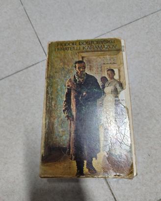 i fratelli karamazov