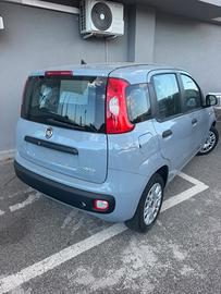 Fiat Panda 1.0 GSE S&S Hybrid Street Van 4 posti N
