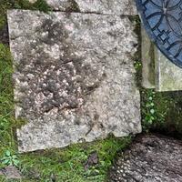 Piastrella  da giardino