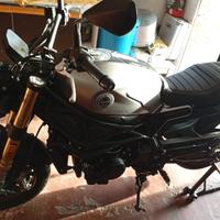 Benelli Leoncino 800