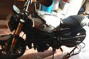 Benelli Leoncino 800