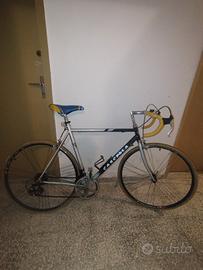 Bicicletta sportiva Cascella in alluminio