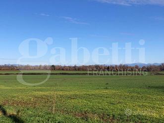Terreno Agricolo Civita Castellana