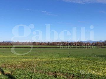 Terreno Agricolo Civita Castellana