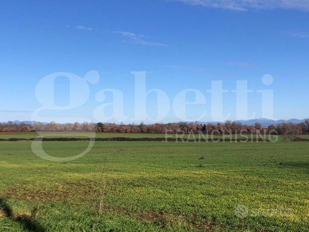 Terreno Agricolo Civita Castellana