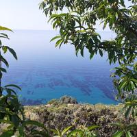 Appartamento casa mare liguria costa azzura