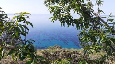 Appartamento casa mare liguria costa azzura