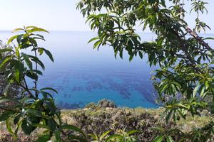 Appartamento casa mare liguria costa azzura