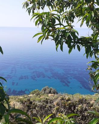 Appartamento casa mare liguria costa azzura