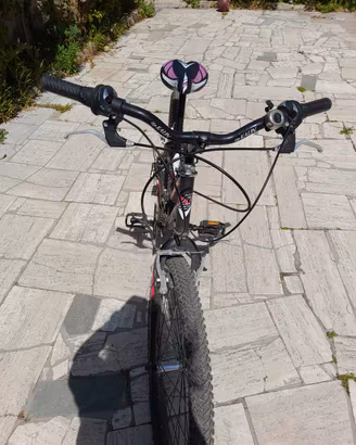 bicicletta da ragazza