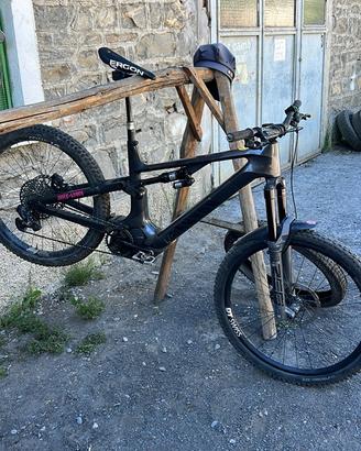 Ebike canyon strive mullet