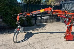 A161 BRACCIO CON PINZA FORESTALE - GRU