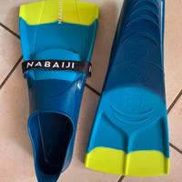 pinne nabaiji