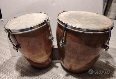 bongo indiano