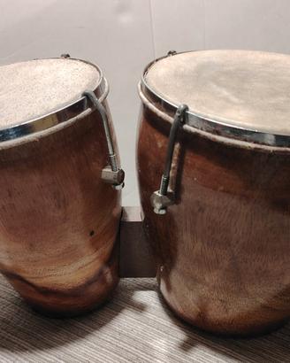bongo indiano