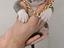 Immagine 4