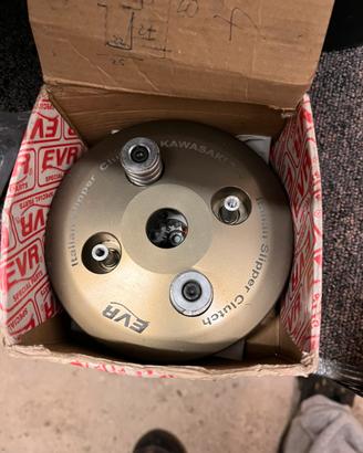 Evr ninja 300