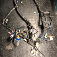 Impianto elettrico Malaguti f12 phantom euro 0