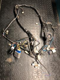 Impianto elettrico Malaguti f12 phantom euro 0