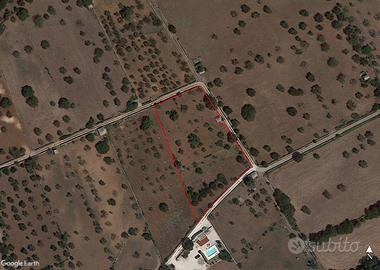 Rustico a Martina Franca, 1 locali