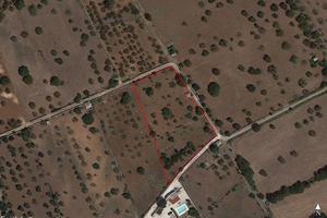 Rustico a Martina Franca, 1 locali