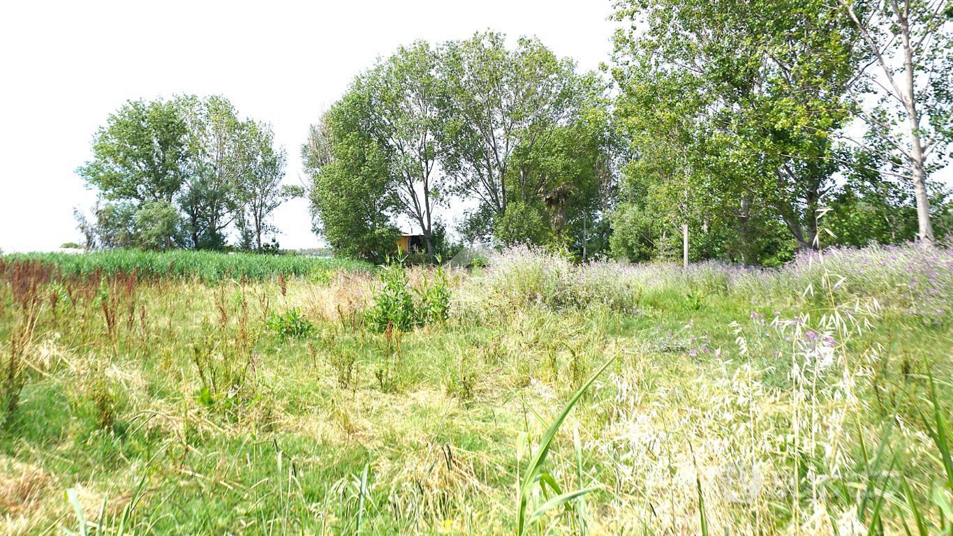 TER. AGRICOLO A EBOLI - Vista 4