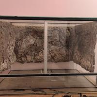 Terrario  sfondo 3d