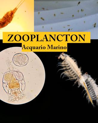 Acquario Marino 