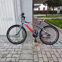 bici per ragazzo 