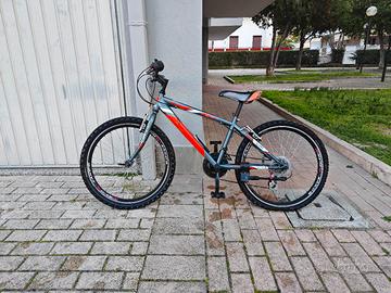 bici per ragazzo 