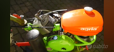 Motocoltivatore Agria Werke 6000