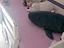 Immagine 5