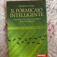Il Formicaio Intelligente - Donato A. Grasso