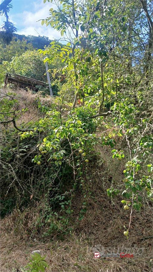 Terreno Portella Castanea - Altro