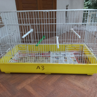 Gabbie ed accessori per gabbie