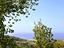 Immagine 19