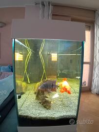Acquario  JUWEL VISION 180