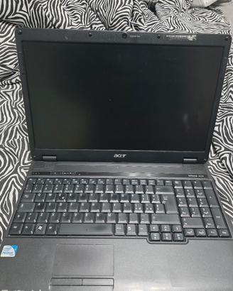 acer extensa