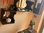 Immagine 1