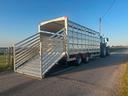 rimorchio-trasporto-bestiame-lunghezza-610-cm-