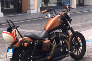 Harley Sportster xl883n iron