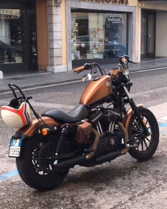 Harley Sportster xl883n iron