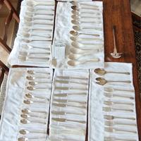 Servizio posate argento a spessore su acciaio inox