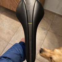 Fizik arione 00 versus evo