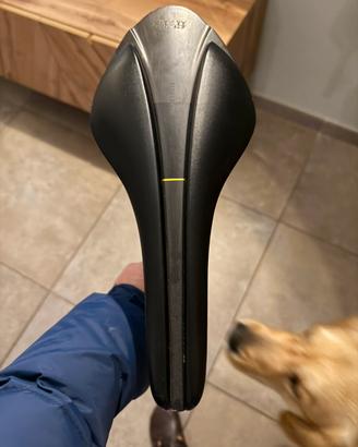 Fizik arione 00 versus evo