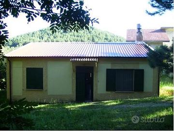 Fabbricato con terreno in montagna (Sila)