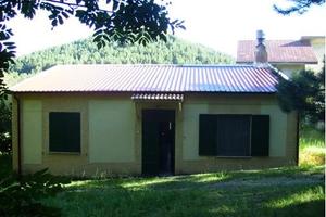 Fabbricato con terreno in montagna (Sila)