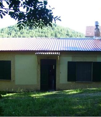 Fabbricato con terreno in montagna (Sila)